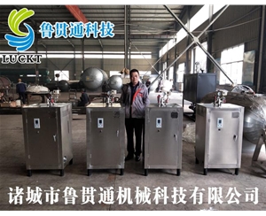 電蒸汽鍋爐 各種型號現(xiàn)貨供應(yīng)，型號不同，功率不同，可適用于多種行業(yè)，歡迎來單咨詢