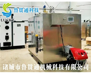 1噸燃?xì)猓ㄓ停┱羝l(fā)生器 現(xiàn)貨供應(yīng)，工廠直銷，規(guī)格型號(hào)眾多，可來(lái)電咨詢