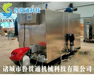 1噸燃?xì)猓ㄓ停┱羝l(fā)生器 現(xiàn)貨供應(yīng)，工廠直銷，規(guī)格型號(hào)眾多，可來(lái)電咨詢