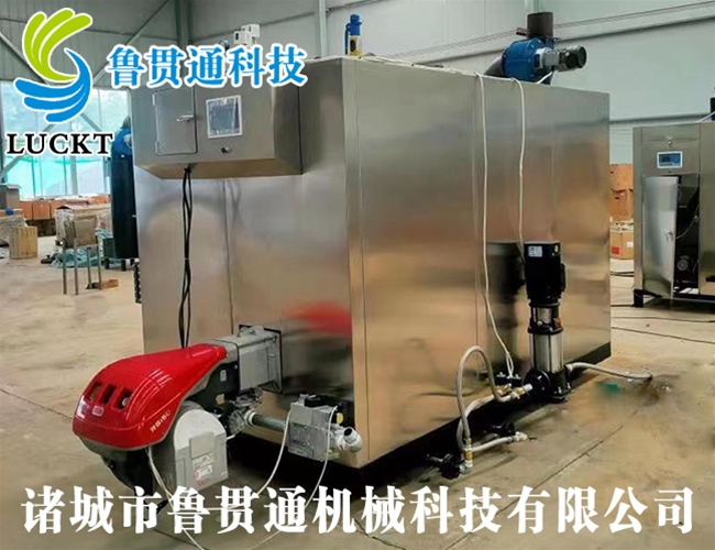 1噸燃?xì)猓ㄓ停┱羝l(fā)生器 現(xiàn)貨供應(yīng)，工廠(chǎng)直銷(xiāo)，規(guī)格型號(hào)眾多，可來(lái)電咨詢(xún)